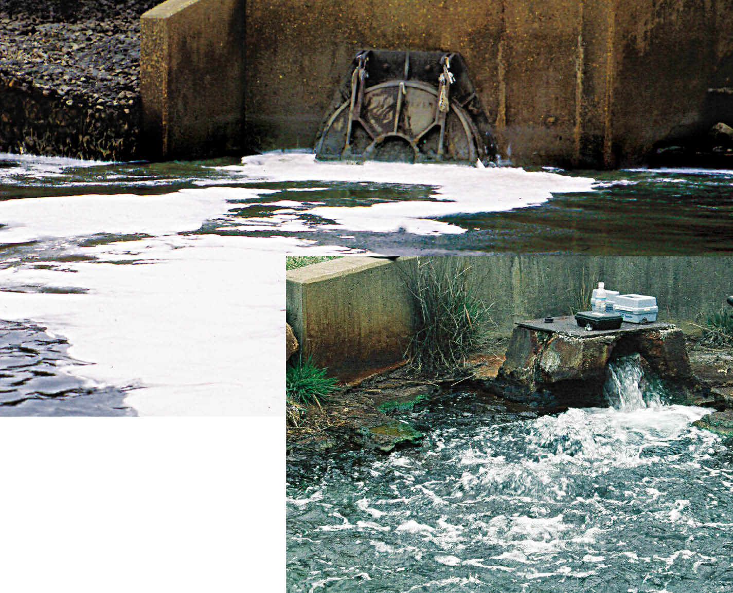 Cleaning up the Paper Industry